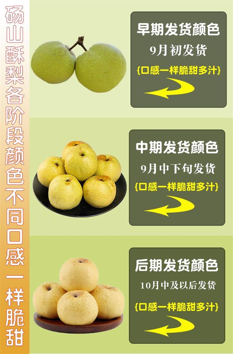 砀山酥梨 详情图 5