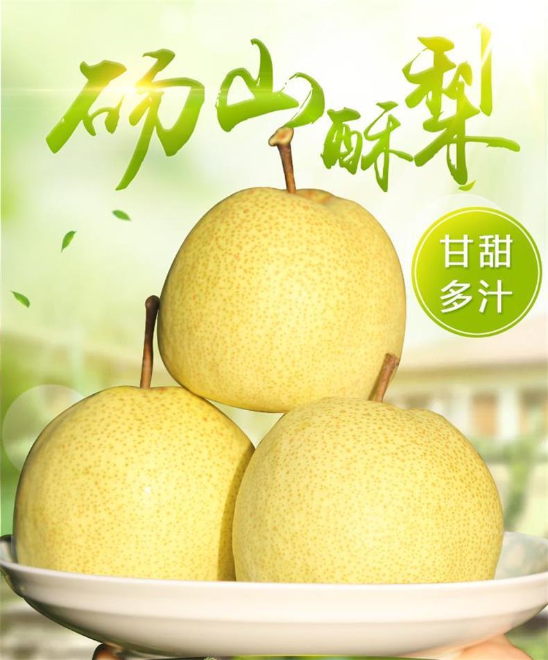 砀山酥梨 详情图 6