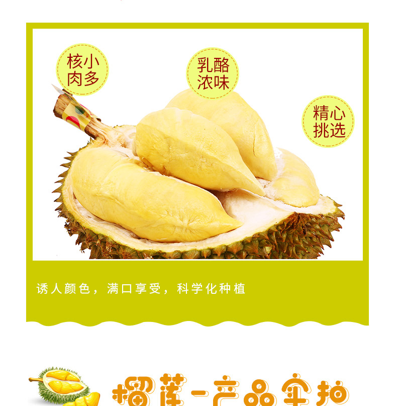 泰国金枕榴莲 详情图 2
