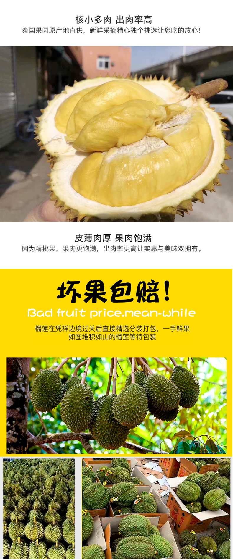 泰国金枕榴莲 详情图 6
