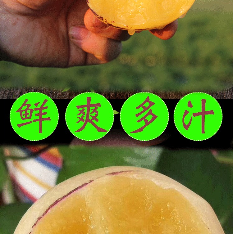 云南人参果 详情图 17