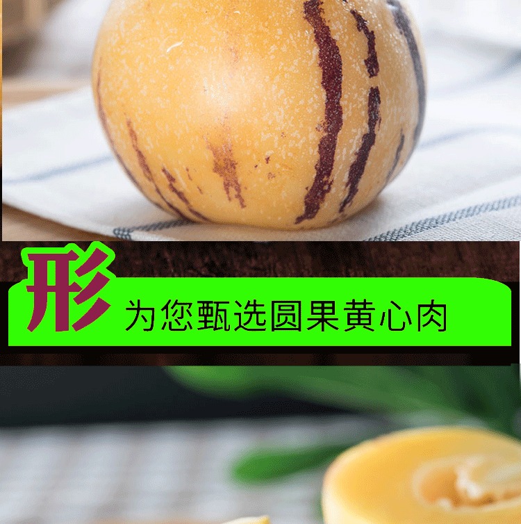 云南人参果 详情图 24