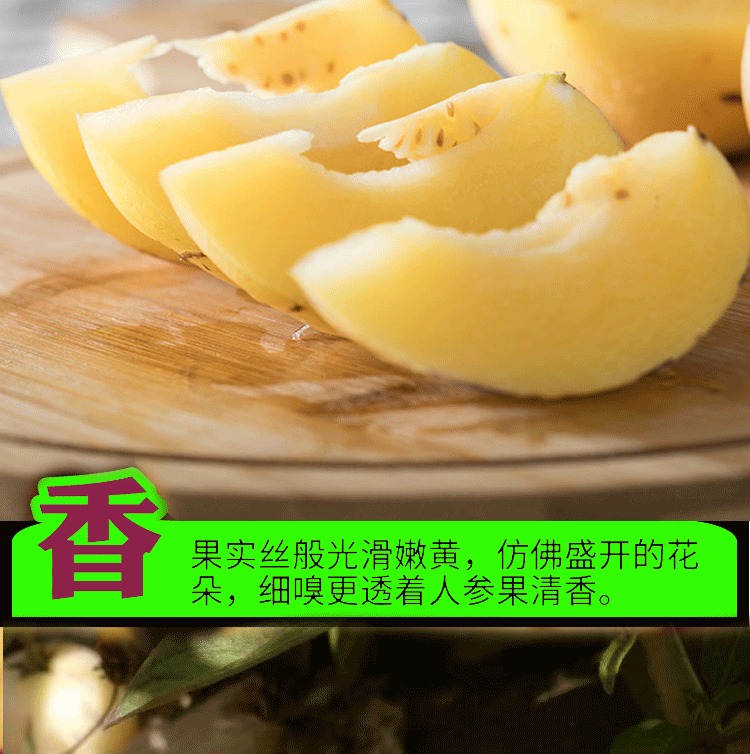 云南人参果 详情图 25