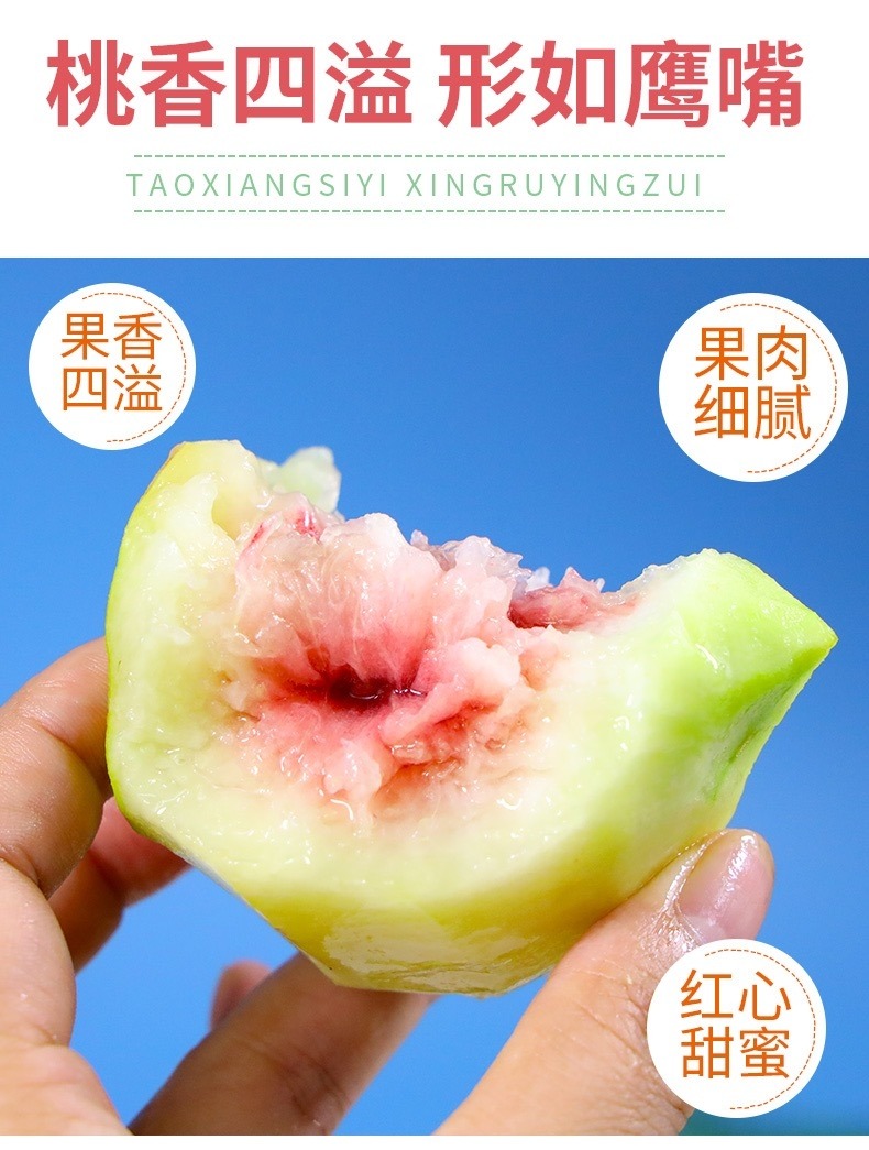 鹰嘴桃 详情图 10
