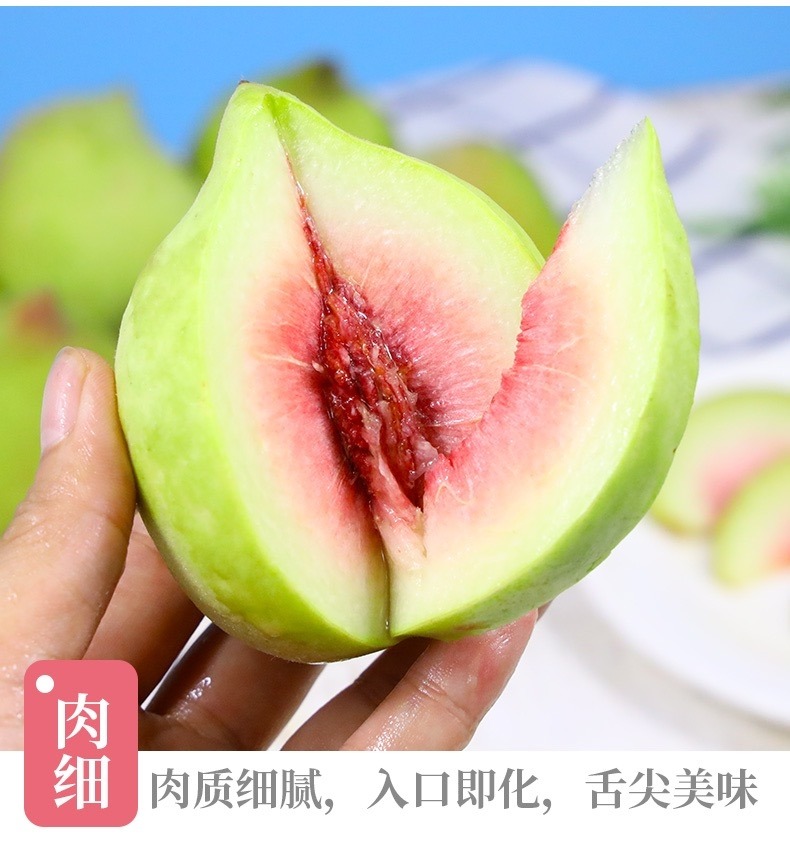 鹰嘴桃 详情图 13