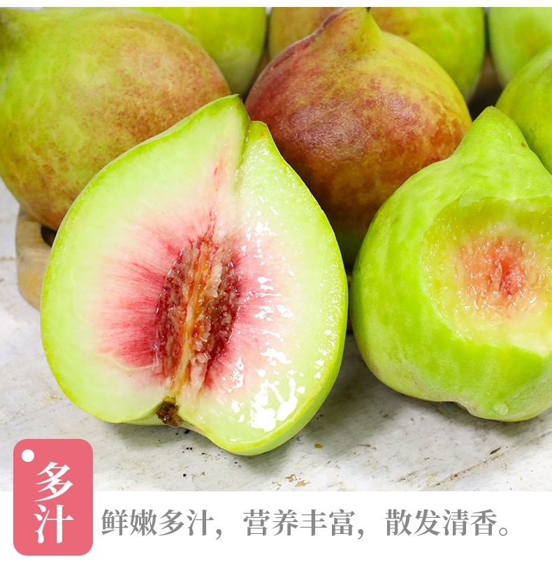 鹰嘴桃 详情图 15