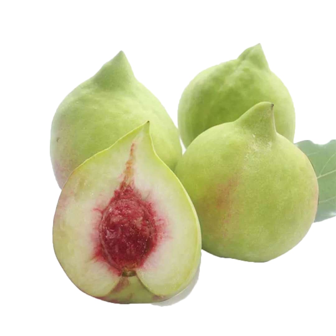 鹰嘴桃