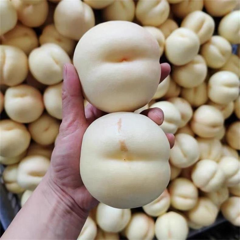 山西白如玉水蜜桃 详情图 11