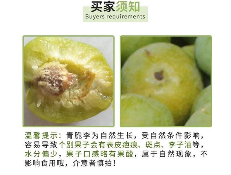 四川青脆李 详情图 13