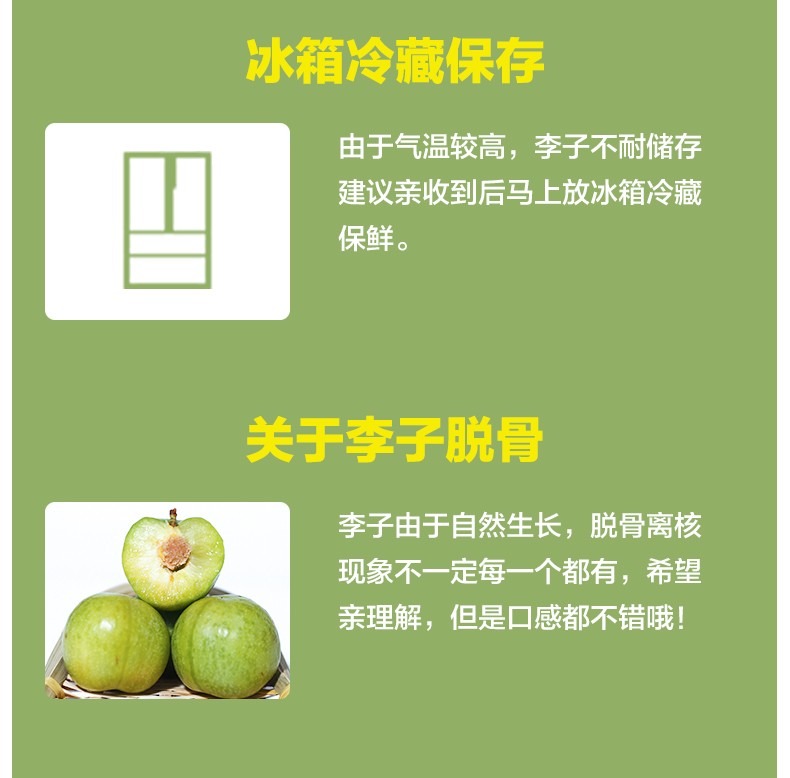 四川青脆李 详情图 14