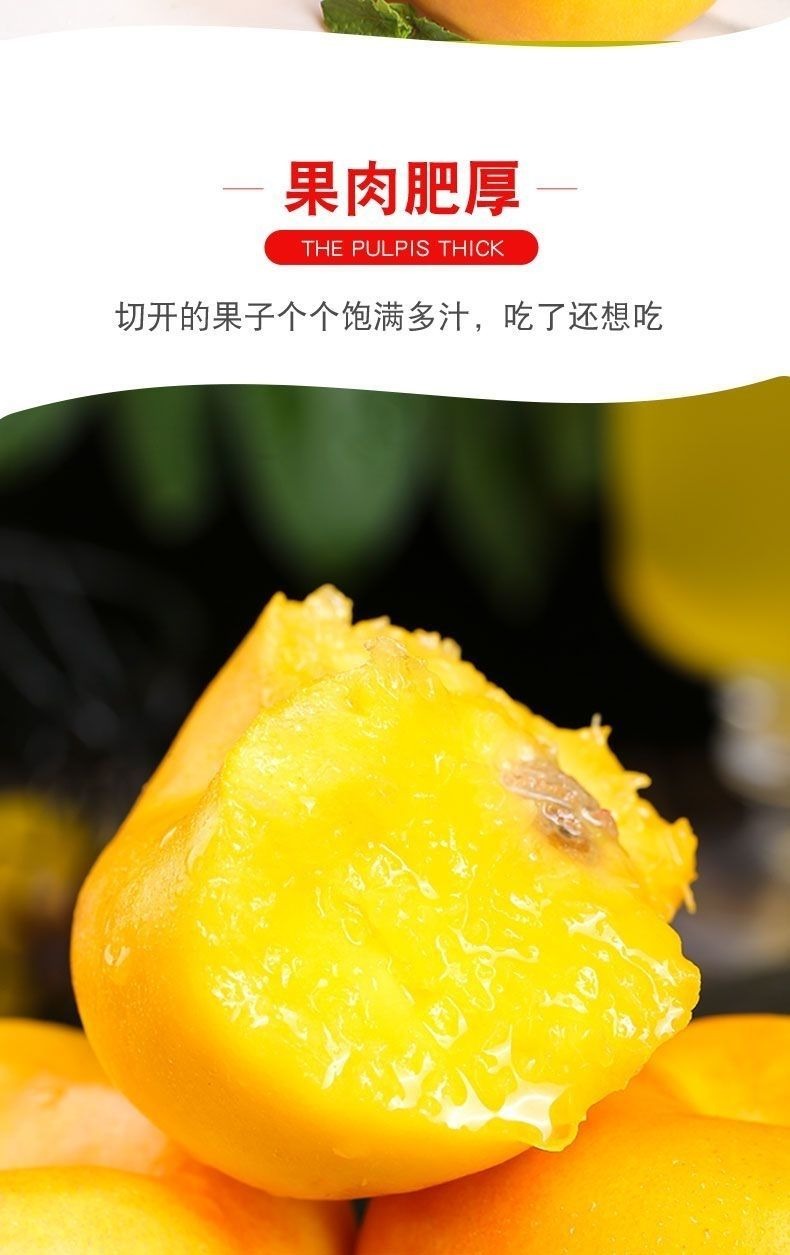 黄金油蟠桃 详情图 6