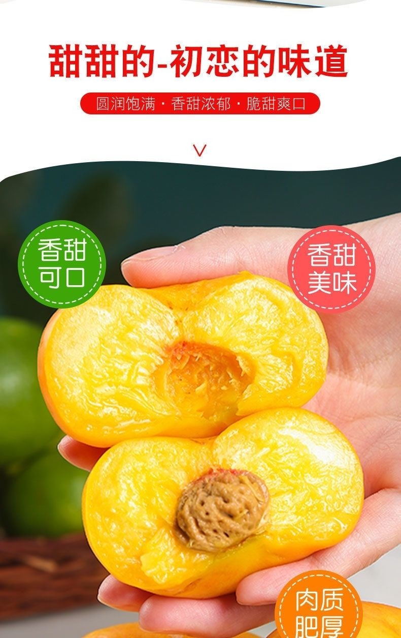 黄金油蟠桃 详情图 8