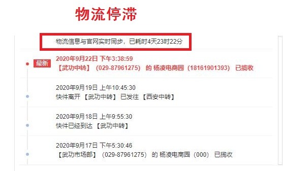 山东烟台红富士 详情图 8