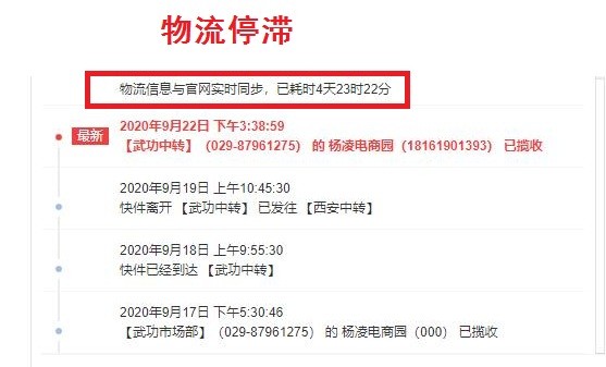 山东樱桃小苹果 详情图 15
