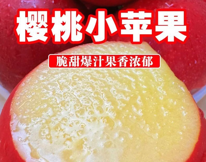 山东樱桃小苹果 详情图 5