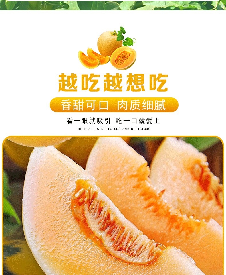 民勤蜜瓜 详情图 7