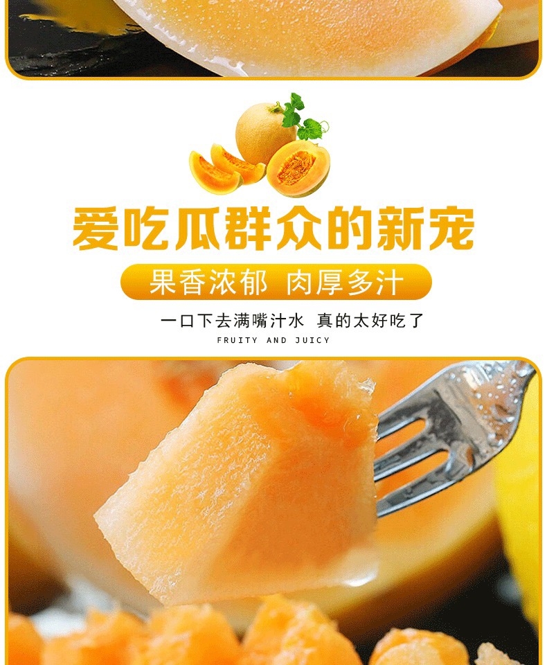 民勤蜜瓜 详情图 8