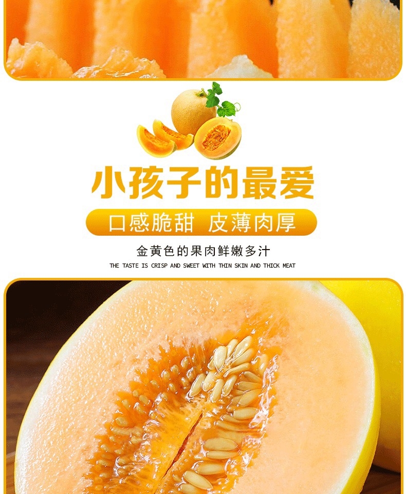 民勤蜜瓜 详情图 9