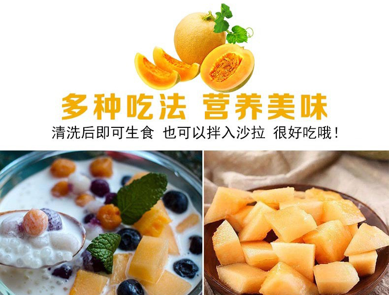 民勤蜜瓜 详情图 12