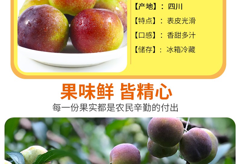 半边红李子【茵红李】 详情图 7