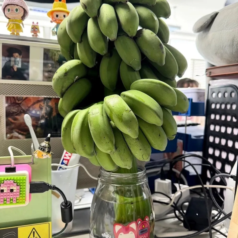 一级带杆香蕉 详情图 11