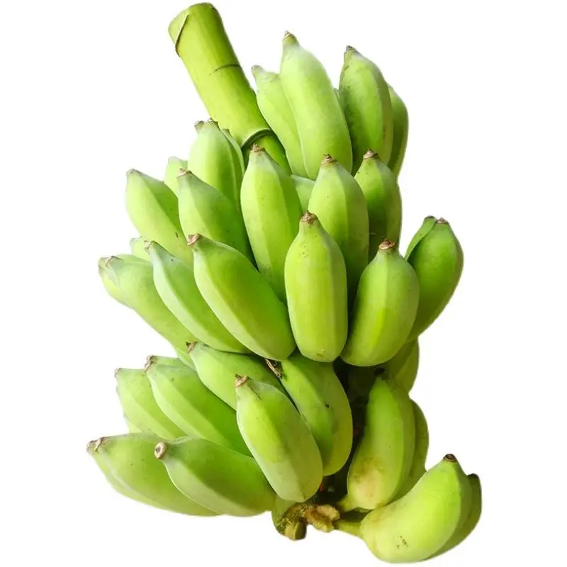 一级带杆香蕉