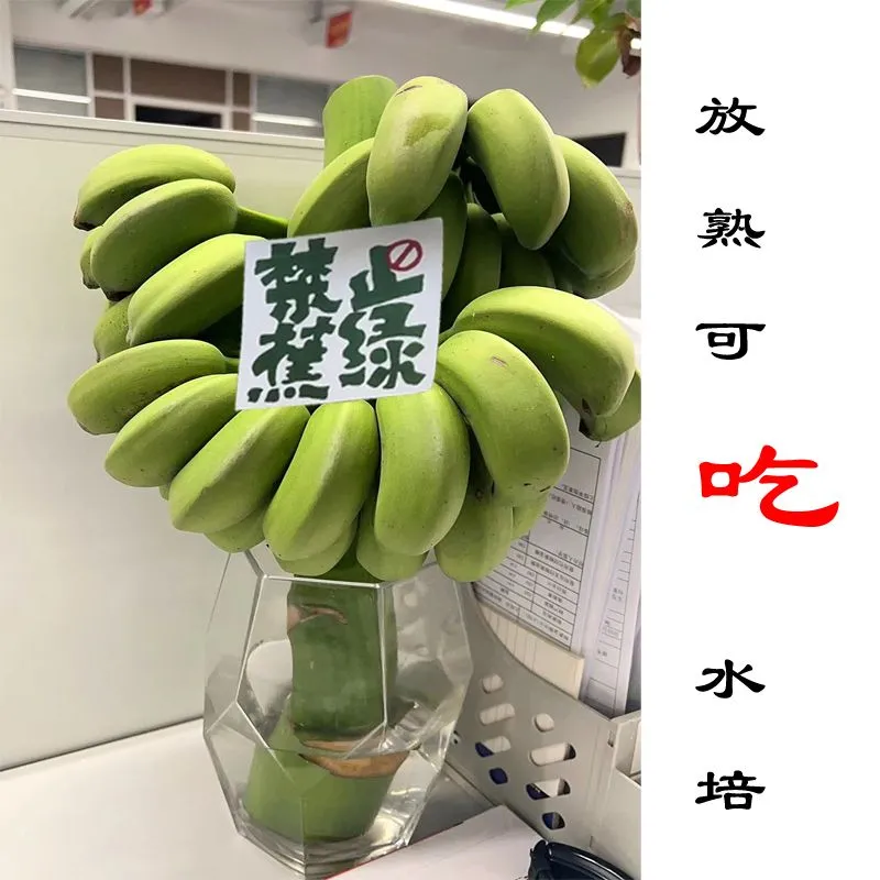 一级带杆香蕉 详情图 1
