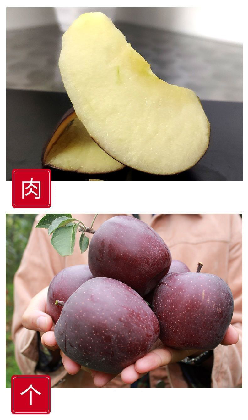 昭通黑卡苹果 详情图 7