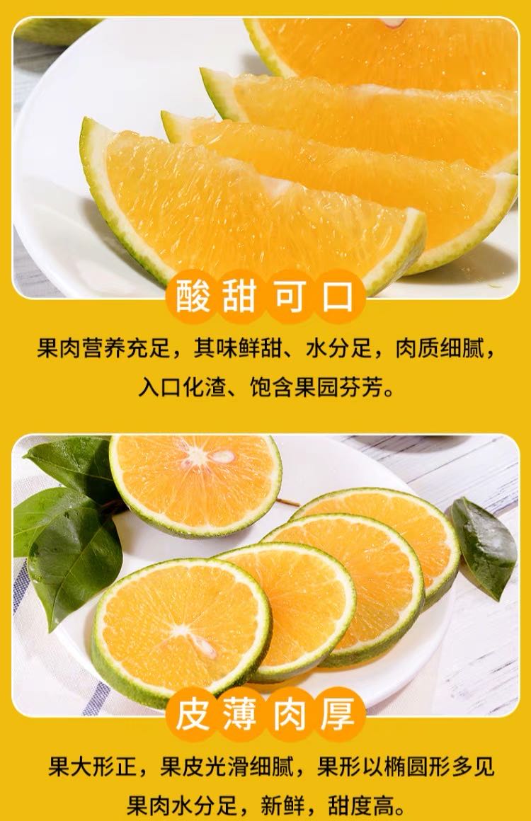 云南冰糖橙 详情图 8