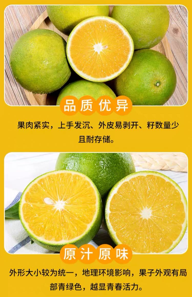云南冰糖橙 详情图 9