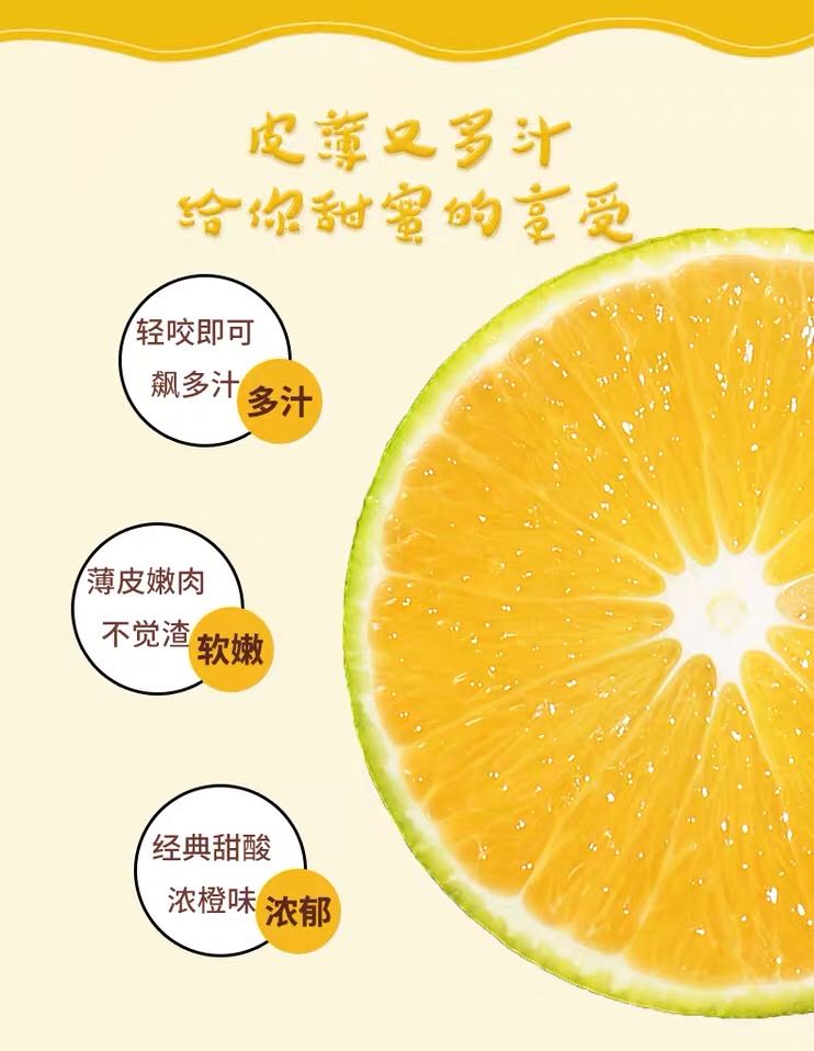 云南冰糖橙 详情图 10