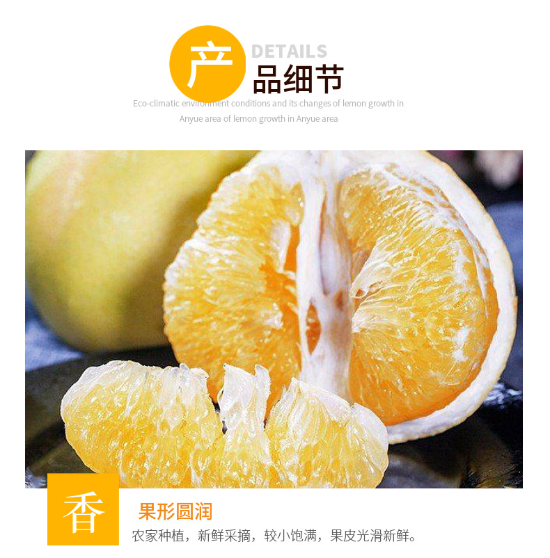 黄金葡萄柚 详情图 8
