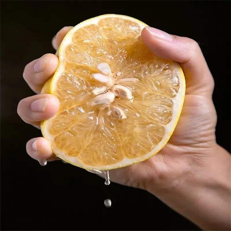 黄金葡萄柚 详情图 3