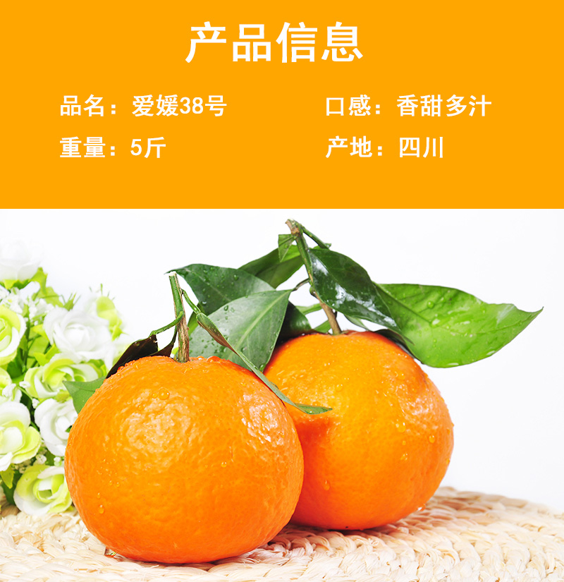 爱媛果冻橙 详情图 8
