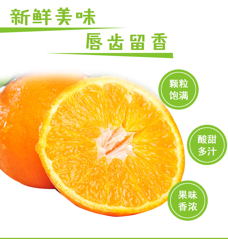 爱媛果冻橙 详情图 9