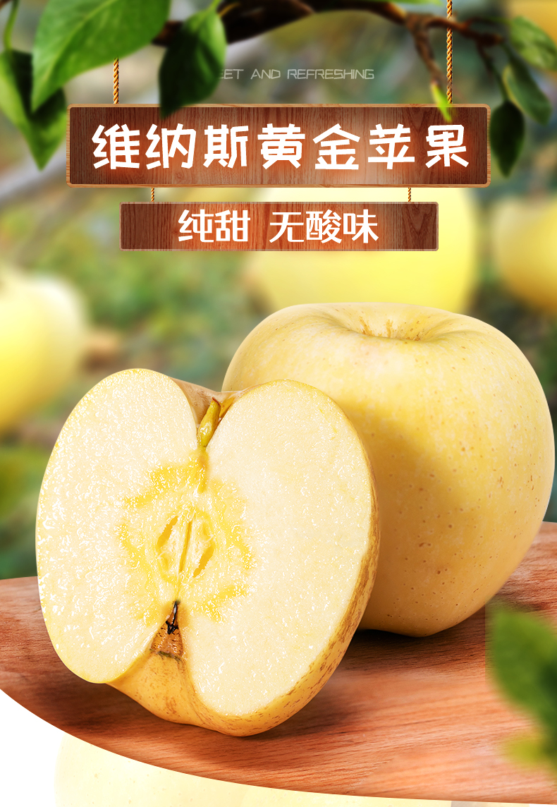 维纳斯黄金苹果 详情图 5