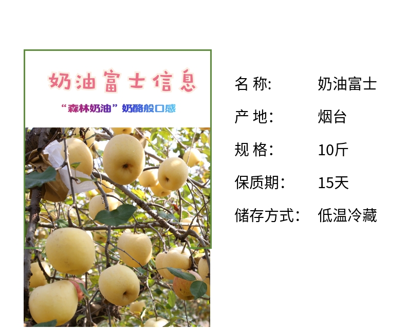 维纳斯黄金苹果 详情图 7