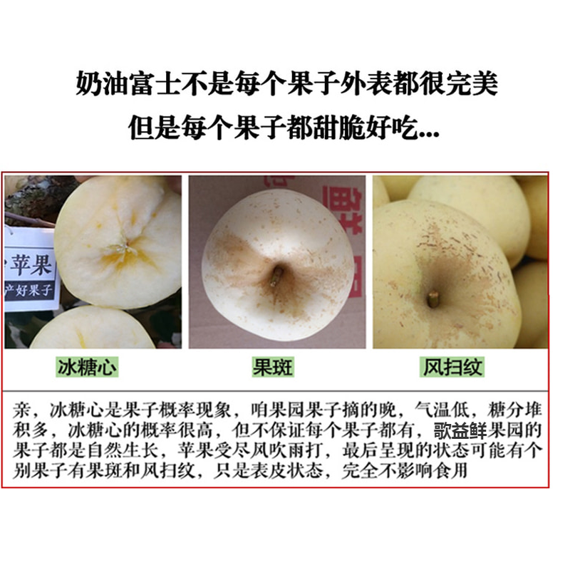 维纳斯黄金苹果 详情图 12