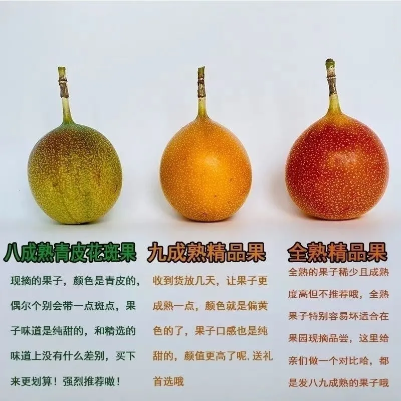 热情果 详情图 2