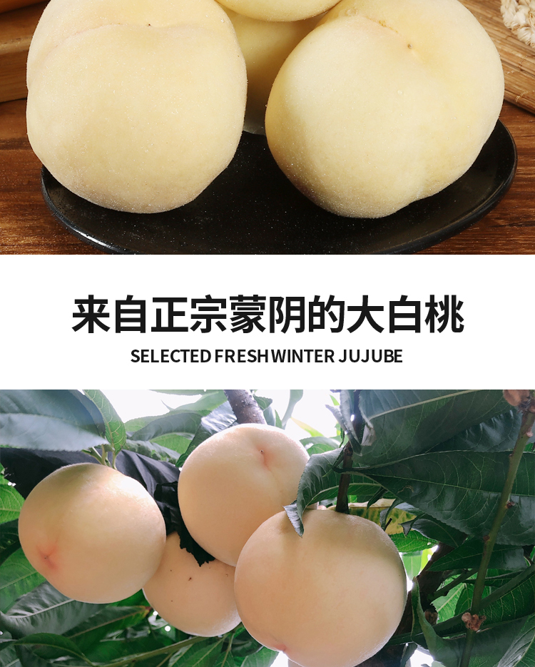 白玉大白桃【蒙阴白桃】 详情图 8