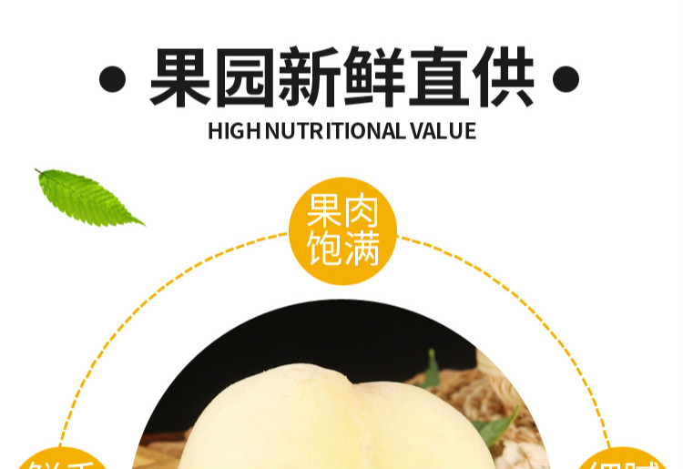 白玉大白桃【蒙阴白桃】 详情图 9