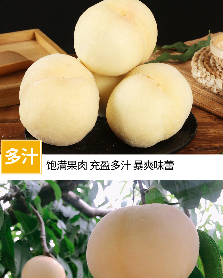 白玉大白桃【蒙阴白桃】 详情图 13