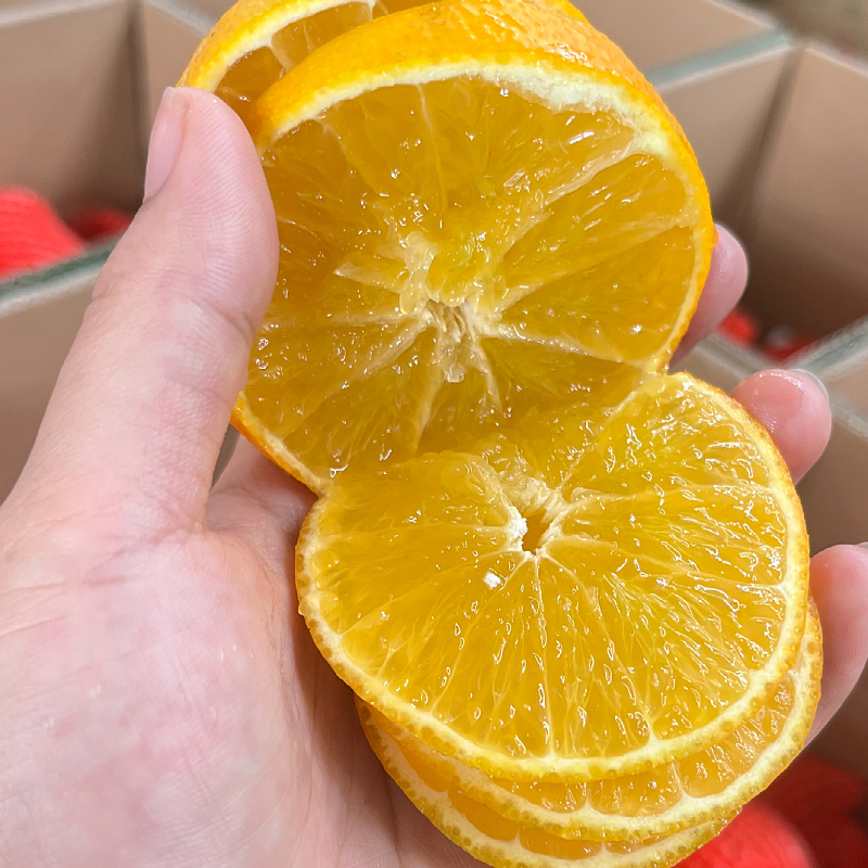 云南爱媛果冻橙 详情图 3