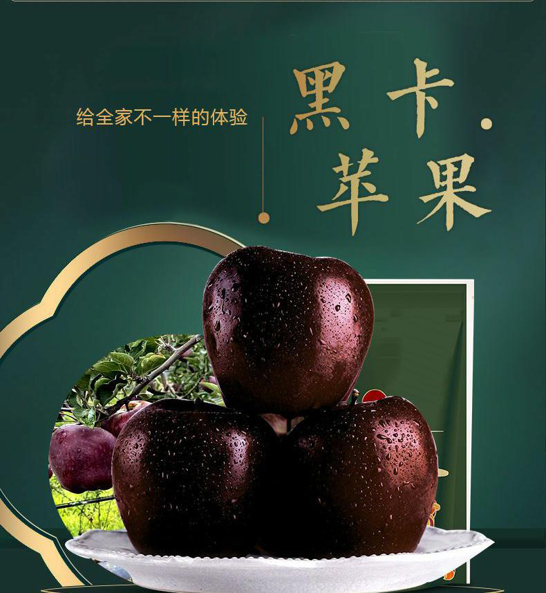 甘肃黑卡苹果 详情图 8
