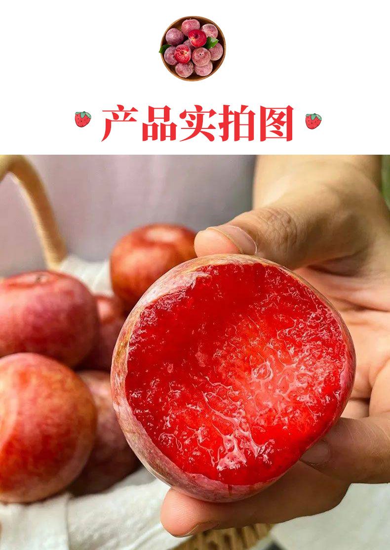新疆恐龙蛋【味馨】 详情图 10