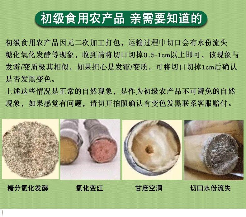 黄金甘蔗 详情图 6