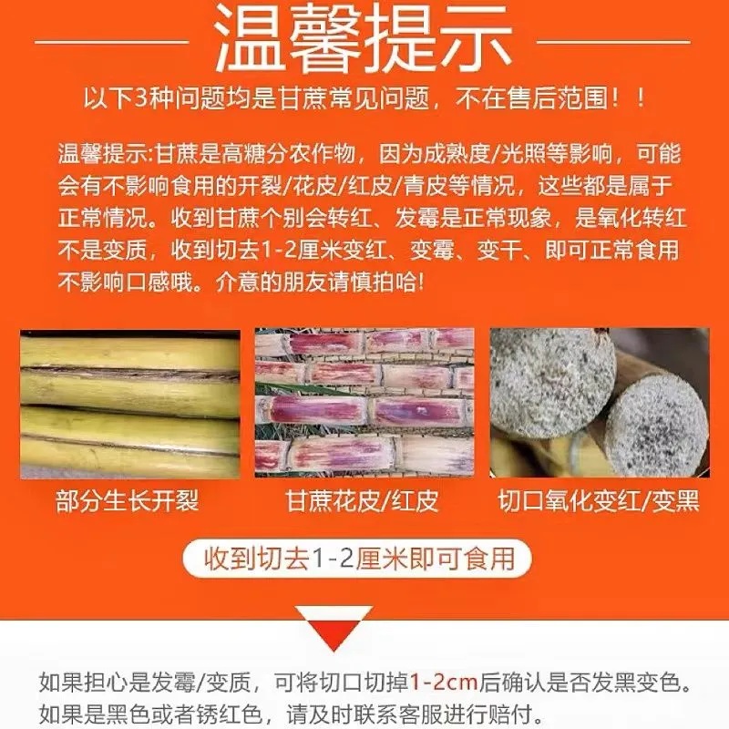 黄金甘蔗 详情图 2