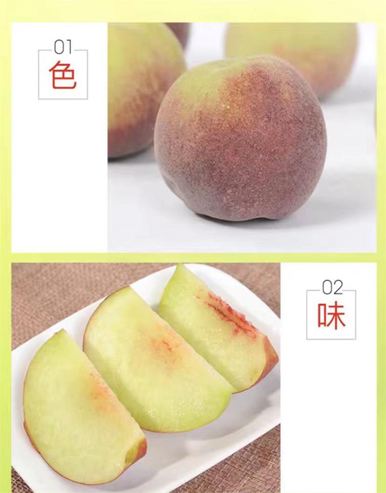 山东冬雪蜜桃 详情图 6