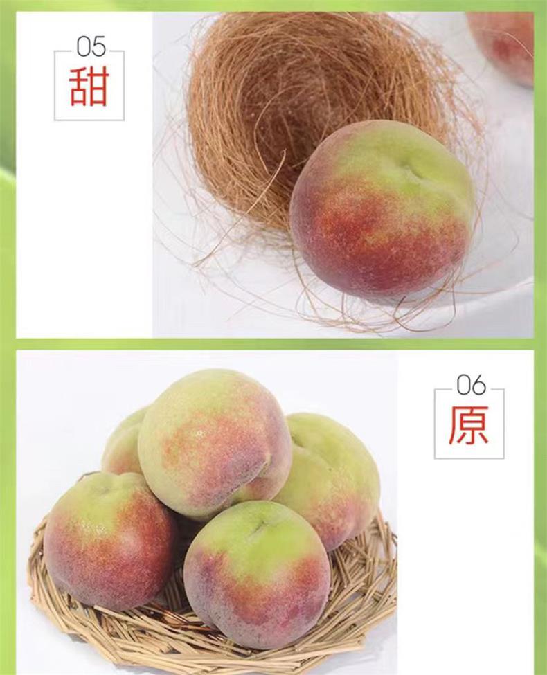 山东冬雪蜜桃 详情图 7