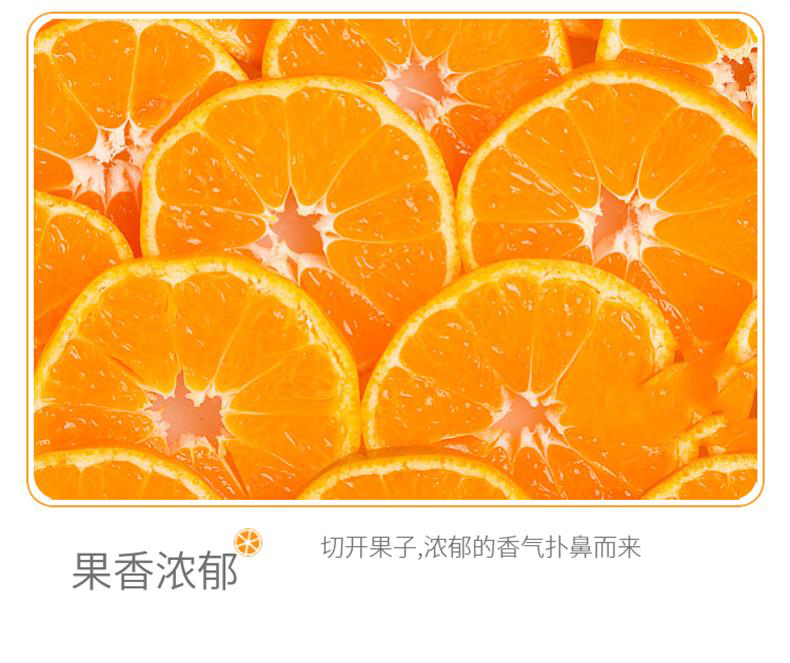 金秋砂糖橘 详情图 15
